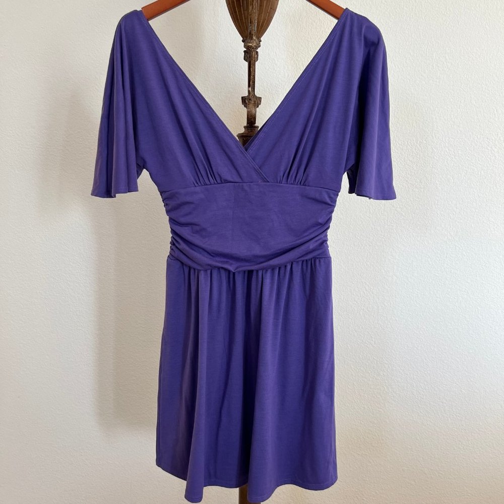Velvet Torch Size S Purple Short Bell Sleeve V-Neck Fit and Flare Mini Dress
